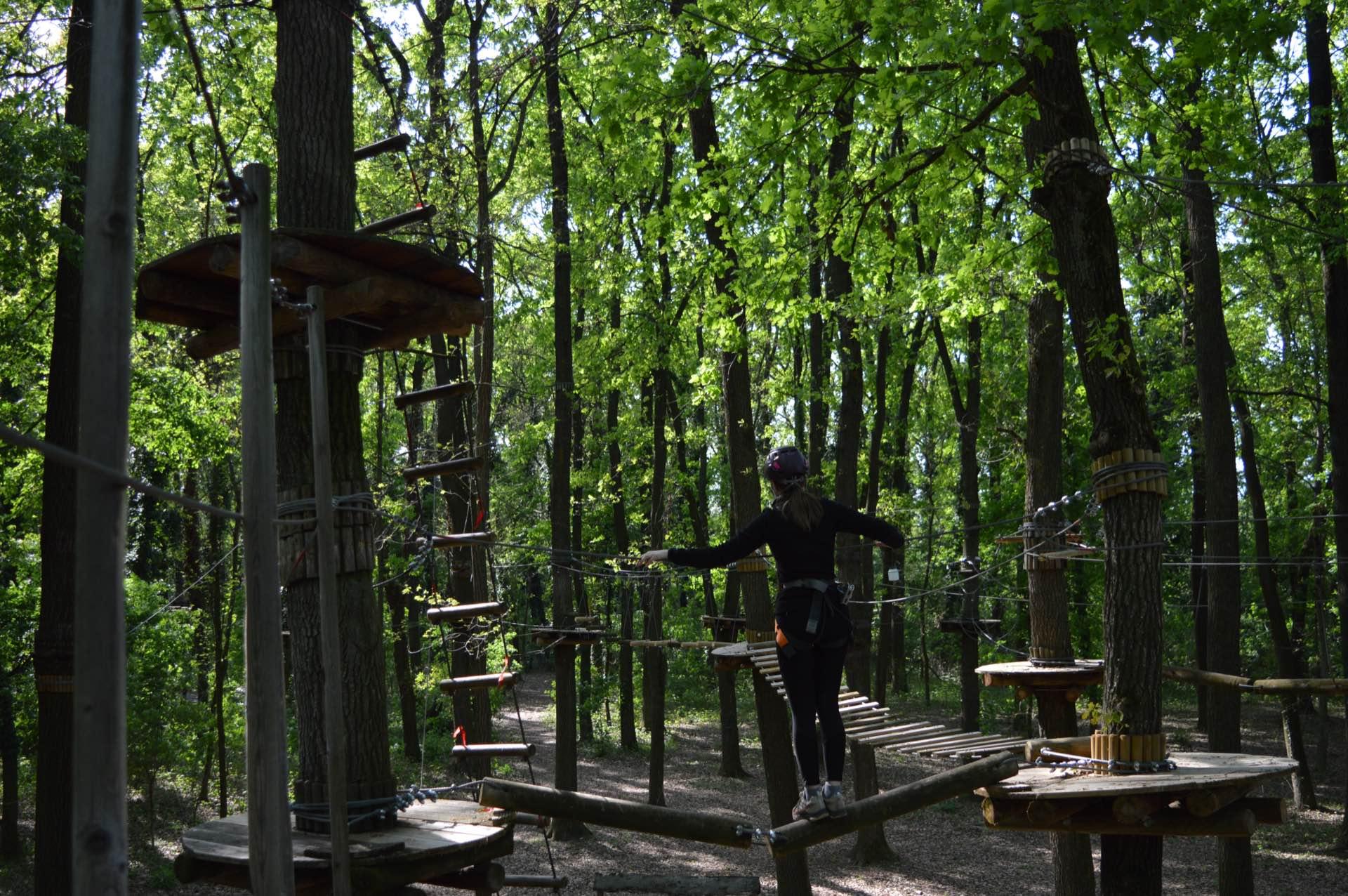 Kerekerdő Kalandpark - erdei kötélpálya a tölgyesben